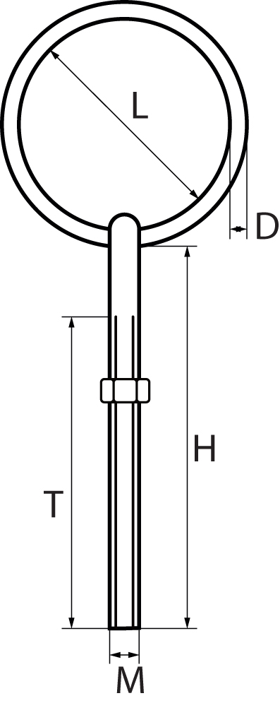 St/Steel Ringbolts with Nut 